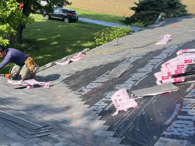 Asphalt Shingle Roofing Asphalt Shingle Roofing